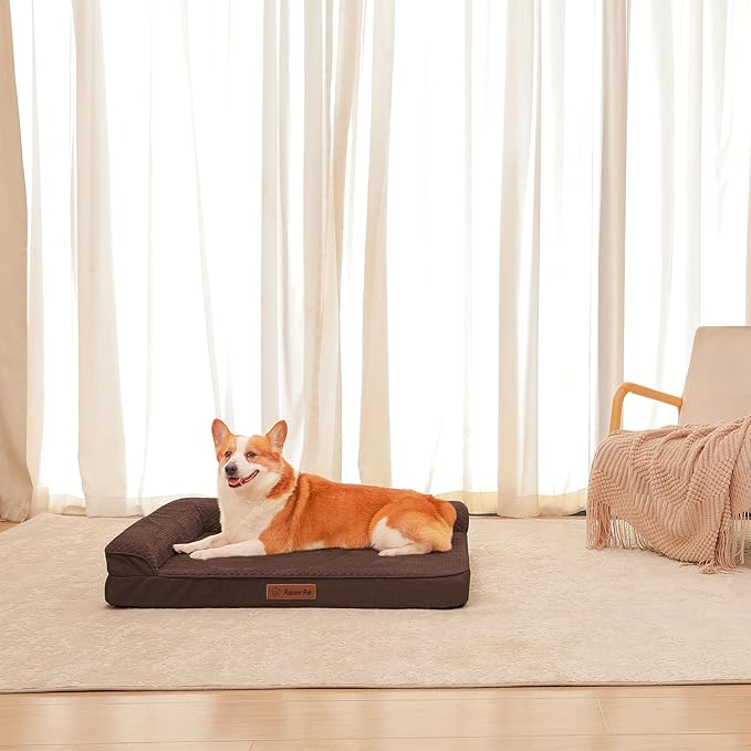 Orthopedic Dog Beds Large Sized Dog, 3 Inch Memory Foam Pet Bed for Medium and Large Dogs, Washable Removable Cover, Nonskid Bottom, Waterproof, 36x27 Inches L Brown Grey