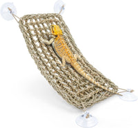 Niteangel Bearded Dragon Seagrass Hammock: Triangle 17'' x 12.5'' – Essentials for Reptiles And Amphibians - Rectangle 16'' x 8''