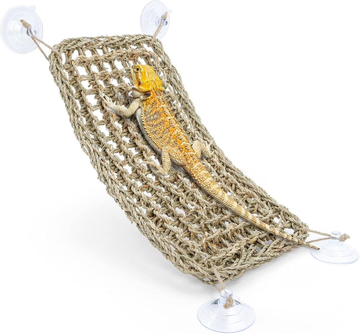 Niteangel Bearded Dragon Seagrass Hammock: Triangle 17'' x 12.5'' – Essentials for Reptiles And Amphibians - Rectangle 16'' x 8''
