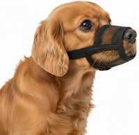 Dog Muzzle Medium Sized Dogs - Medium ( 6.3” - 7.9” )