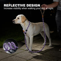 Slip Lead Dog Leash Reflective Training Durable Braided Rope Leashes – Essentials for Dogs - Light Purple / 1PC Large 1/2in x 6ft - image 3