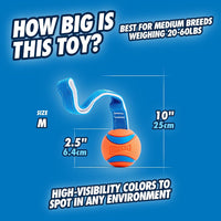 Chuckit! Ultra Tug Dog Toy - Medium (Pack of 12) / Ultra Tug - image 3