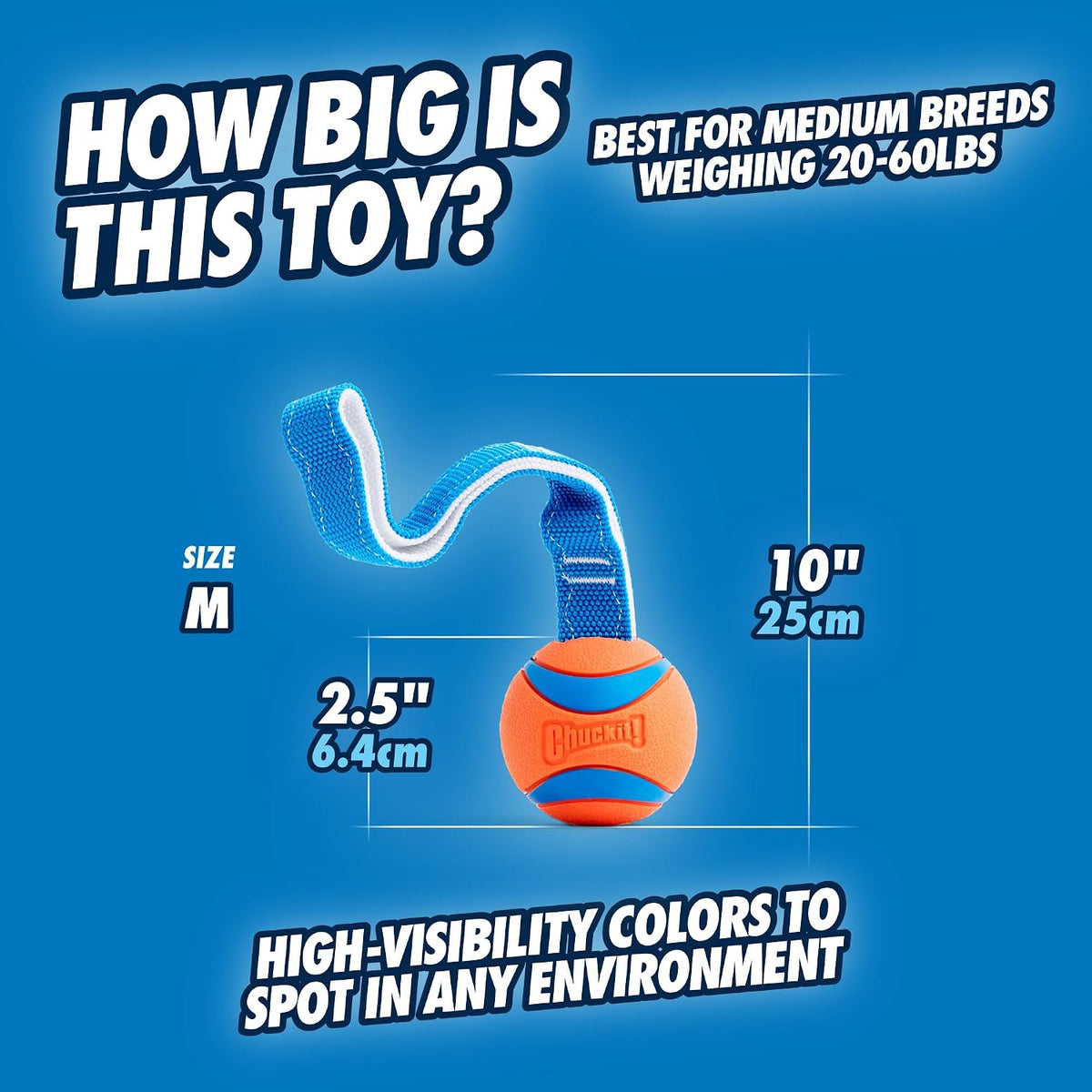 Chuckit! Ultra Tug Dog Toy - Medium (Pack of 12) / Ultra Tug - image 3