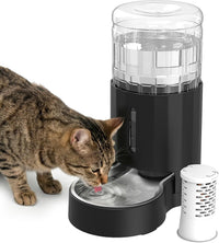 JUNSPOW Cat Water Dispenser and Stainless Steel Bowl – Essentials for Cats - Black / 4L + Filter