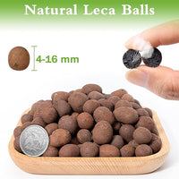 Halatool 6LB Natural Expanded Clay Pebbles for Plants 4mm-16mm Hydro Balls for Aquarium Indoor Potted Plants Premium Hydroponic Growing Media Clay Balls for Hydroponics Aquaponics