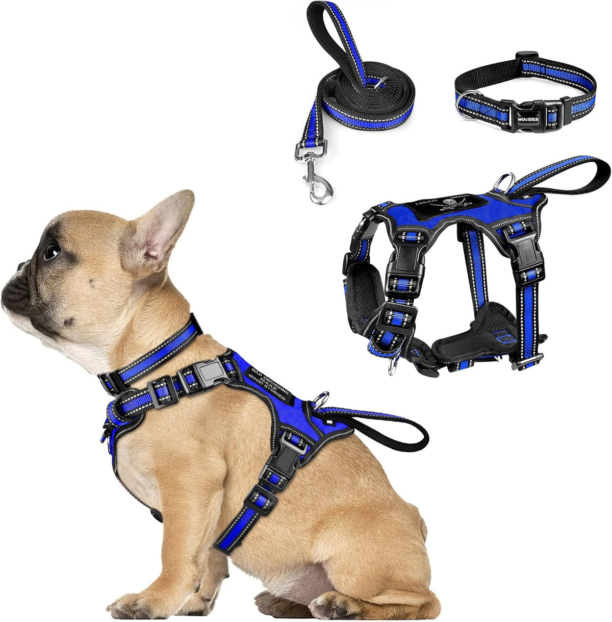 WINSEE Pet Harness Collar and Leash Set - Small / Dark Blue