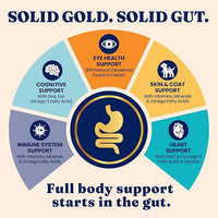 Solid Gold Dry Cat Food for Indoor Cats of All Ages - W/Lamb, Brown Rice, Barley, Probiotics & Fiber for Gut Health- Holistic & Healthy Cat Kibble for Kittens & Adults - Dry Kibble for Cats - 12 LB