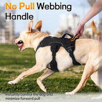 rabbitgoo Escape Proof Dog Harness for Large - Black / Large - image 4