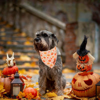 PTDECOR Halloween Dog Bandana, Ghost Pumpkin Dog Scarf - Small / Yellow&Orange - image 3