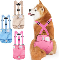 Idepet Female Dog Diapers with Suspender Detachable - Pink/Blue/Carneose / M