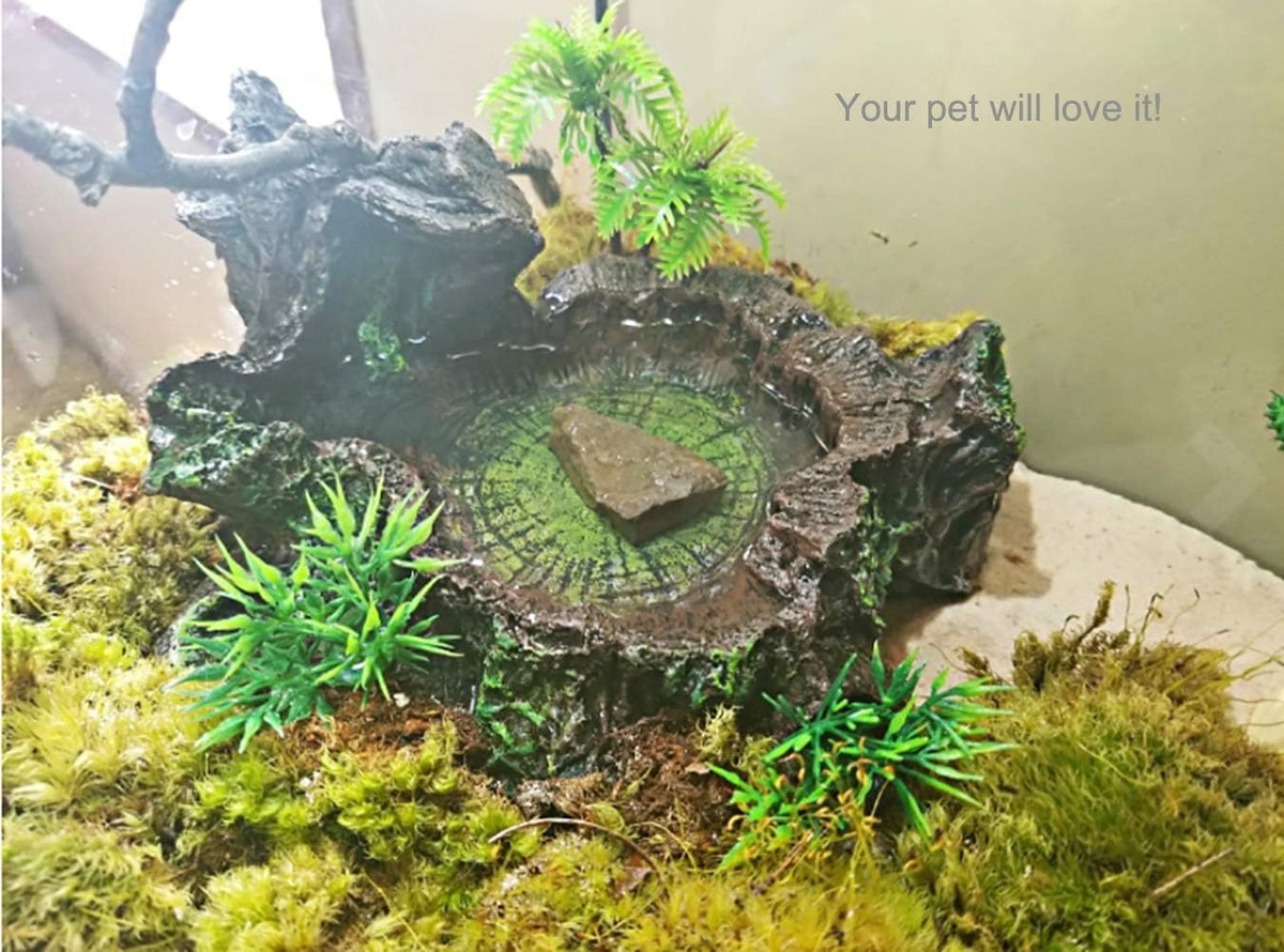 PINVNBY Reptile Water Dish, Snake Water Bowl - Smooth - image 4