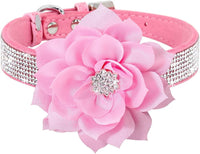 Rhinestone Sparkly Flower Dog Collar with Detachable Bloom
