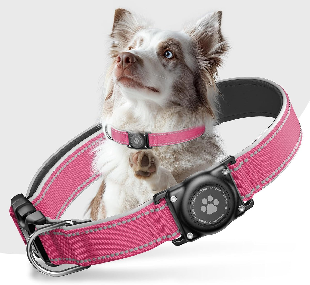 Upgrade Dog Collar with AirTag Holder, IP68 Waterproof, M - Watermelon red / L (14.8"-20.3")