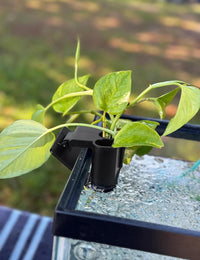 2 Pk Upgraded Aquarium Plant Holder - Black - image 2