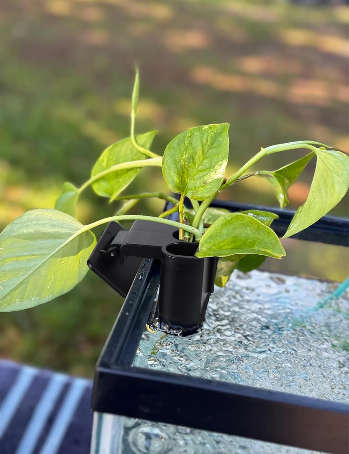 2 Pk Upgraded Aquarium Plant Holder - Black - image 2
