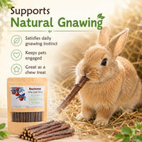 Apple Chew Sticks 100g Mini Molar Toys for Small Pets – Essentials for Small Pets - 3.6 Ounce (Pack of 1) - image 4