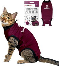 Cat recovery suit onesie for female cats after spay surgery, cozy and snug fit