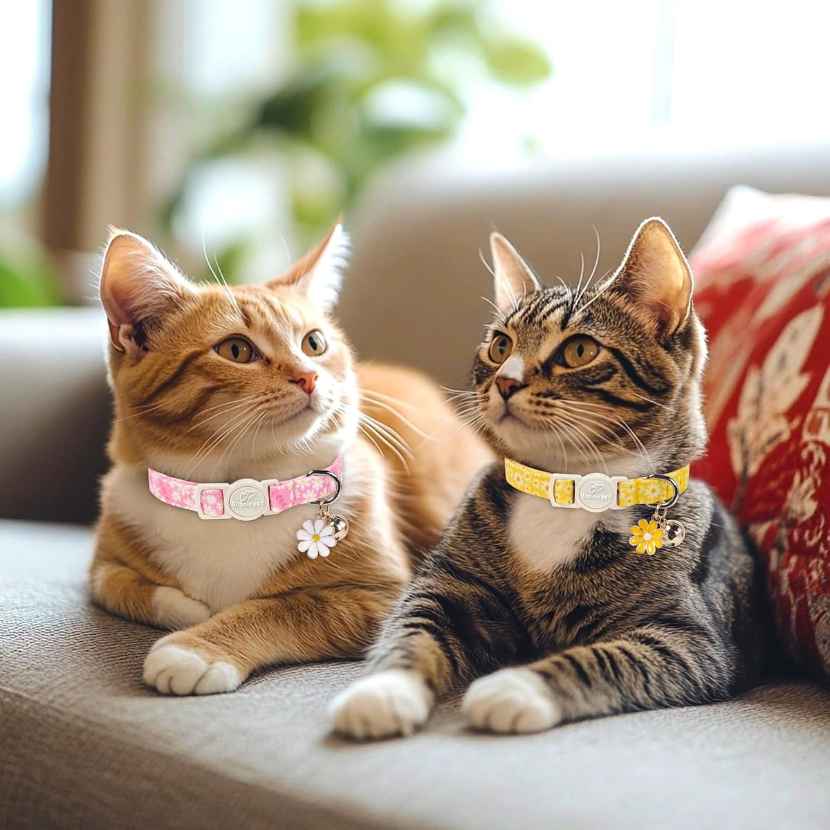 2 Pack Cute Cat Collars - Cartoon Bee Ladybug Breakaway Cat Collar with Bell & Matching Pendant - Pink&Yellow Daisy - image 2