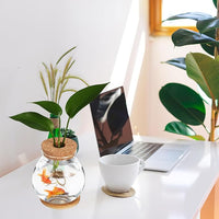 Desktop Fish Bowl Clear Glass Small Betta Fish Tank with Wood Lid and Bamboo Stand Table Hydroponic Plants Terrarium for Home Office Decoration 13 * 14cm
