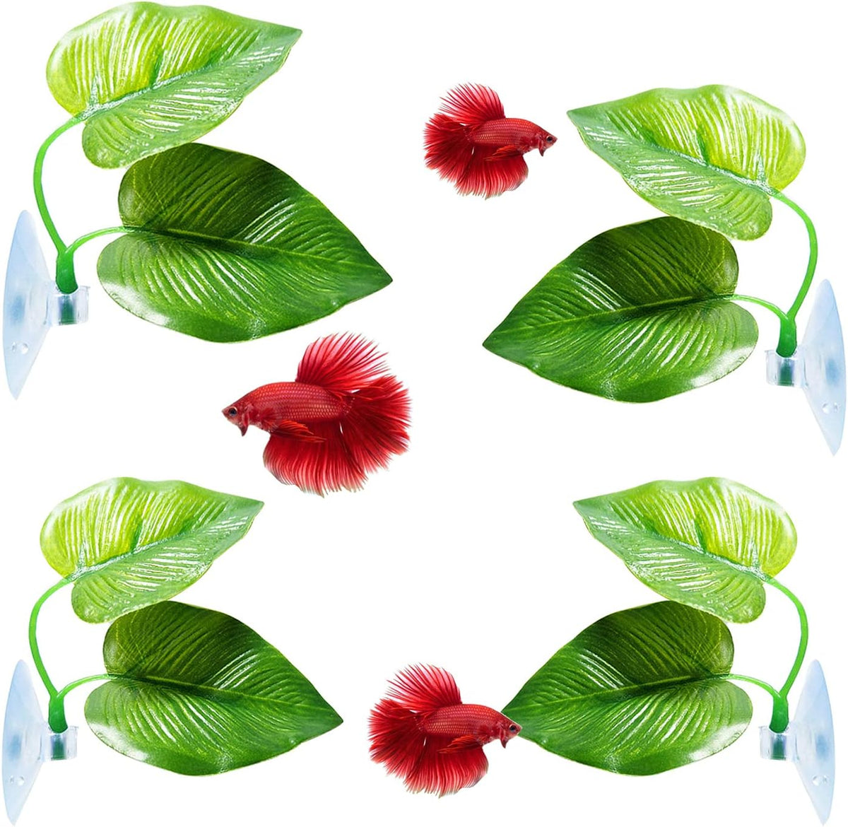CousDUoBe 2 Pack Betta Fish Leaf Pad Improves Betta's Health - 4 Pack