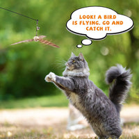 JXFUKAL Cat Wand Toys, Interactive Cat Toys with 3 Feather Refills, 29'' Flexible Steel Wire - Set A-refills - image 3