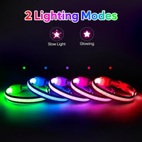 Flashseen LED Cat Collar,Light Up Dog Collar Rechargeable, Dog Lights for Night Walking, Comfortable Soft Mesh Pet Collar Adjustable for Cats Puppy and Small Dogs (Purple, XS)