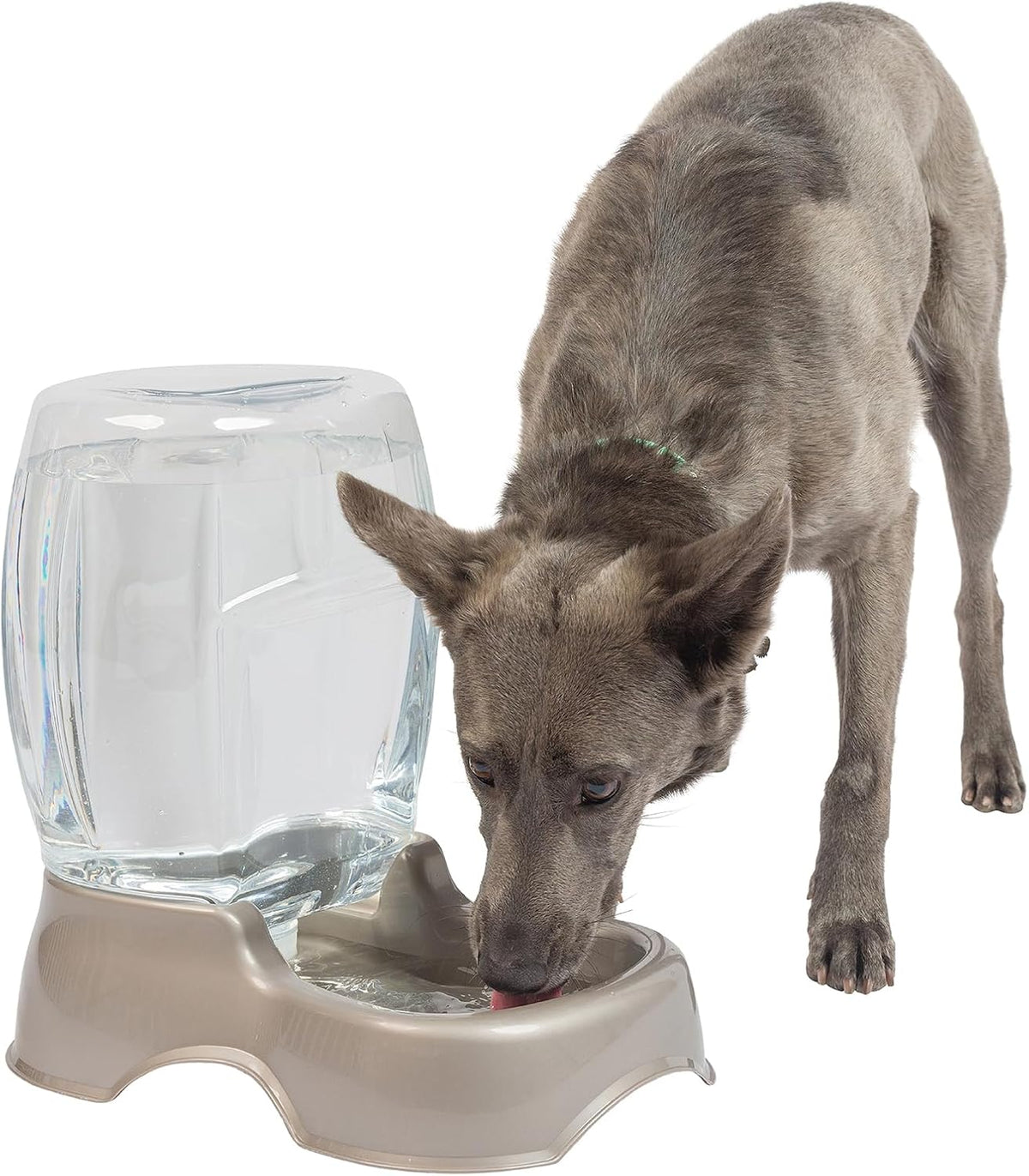 Petmate Pet Cafe Gravity Water Dispenser - Pearl Tan / 3 GAL - image 2