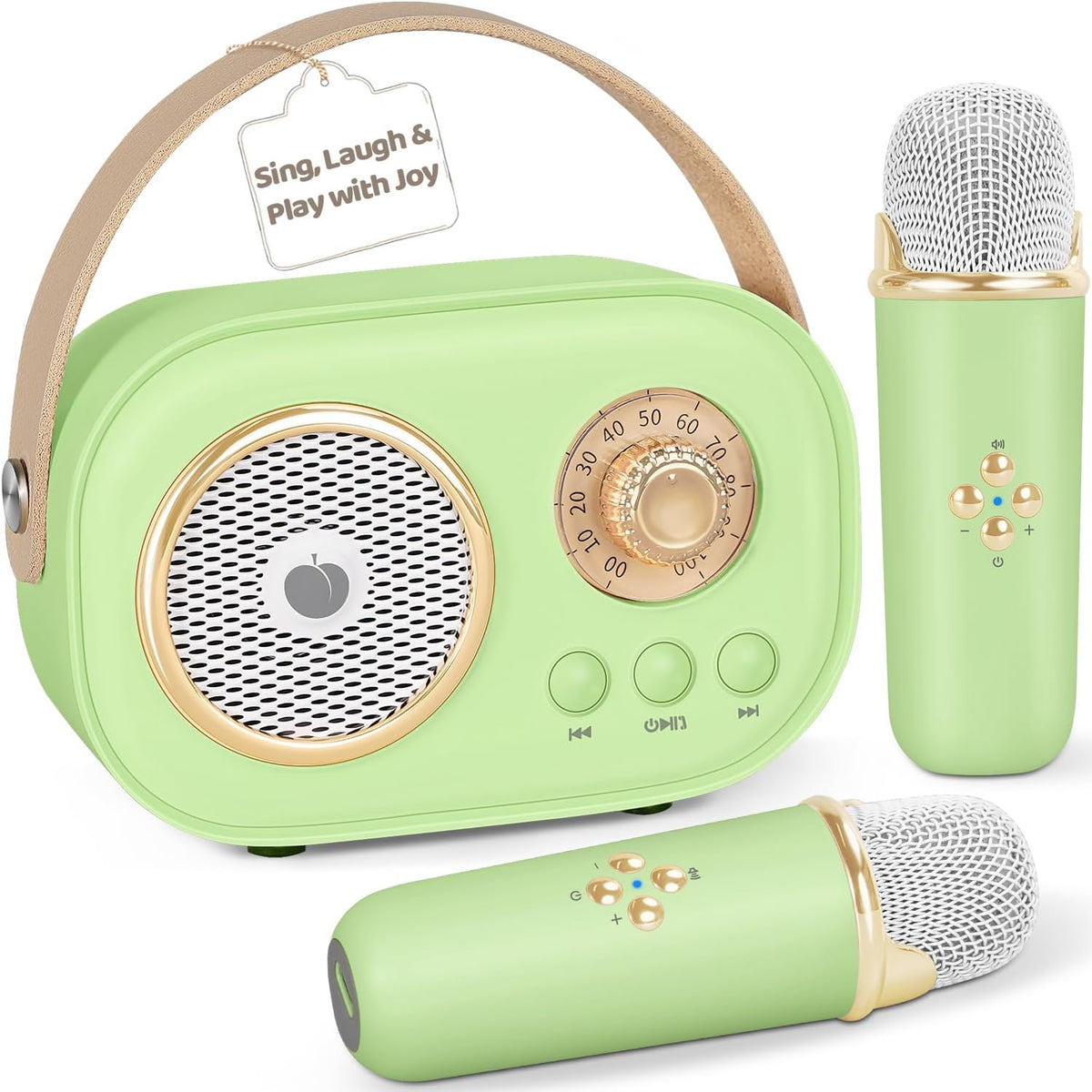 PRUNUS C20 Mini Karaoke Machine - C20-Green