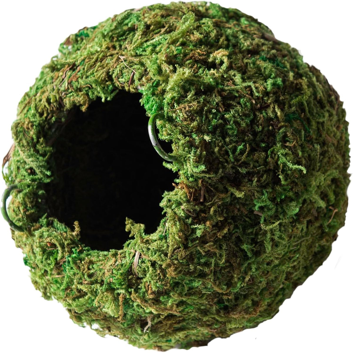 Galápagos Mossy Cave Hide, Green - 4"