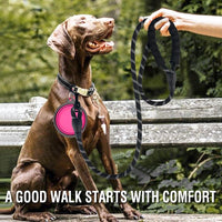 COOYOO 2 Pack Dog Leash 5 FT Heavy Duty - 1/2"x 5 FT (18~120 lbs.) / Set 1-Black+Pink - image 2