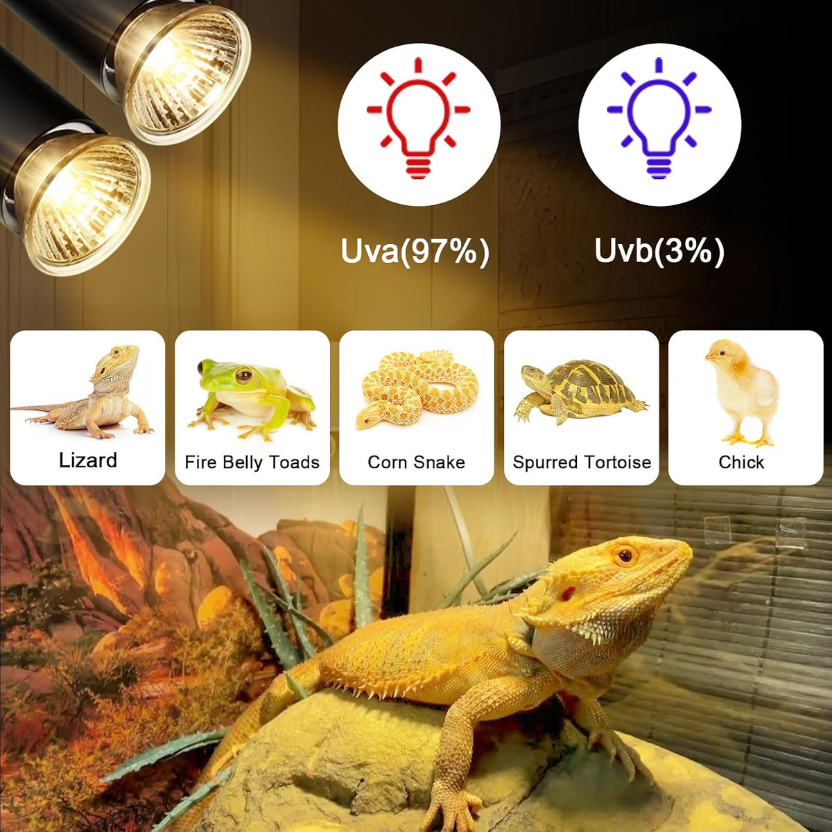 50W Uva Light Bulbs 4-Pack, Turtle Heat Lamp for Reptile – Essentials for Reptiles And Amphibians - 50.0 - image 4