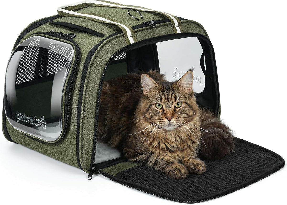 Pecute Cat Carrier, Double Bubble Pet Carrier for Cat Small Dogs - 21.5"L x 14"W x 15"H / Dark Green