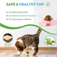 4 Pack Catnip Balls Roller Wall Ball for Cats Spinning Catnip Station Licking Balls Organic Cat nip Chew Ball for Teeth Cleaning & Play