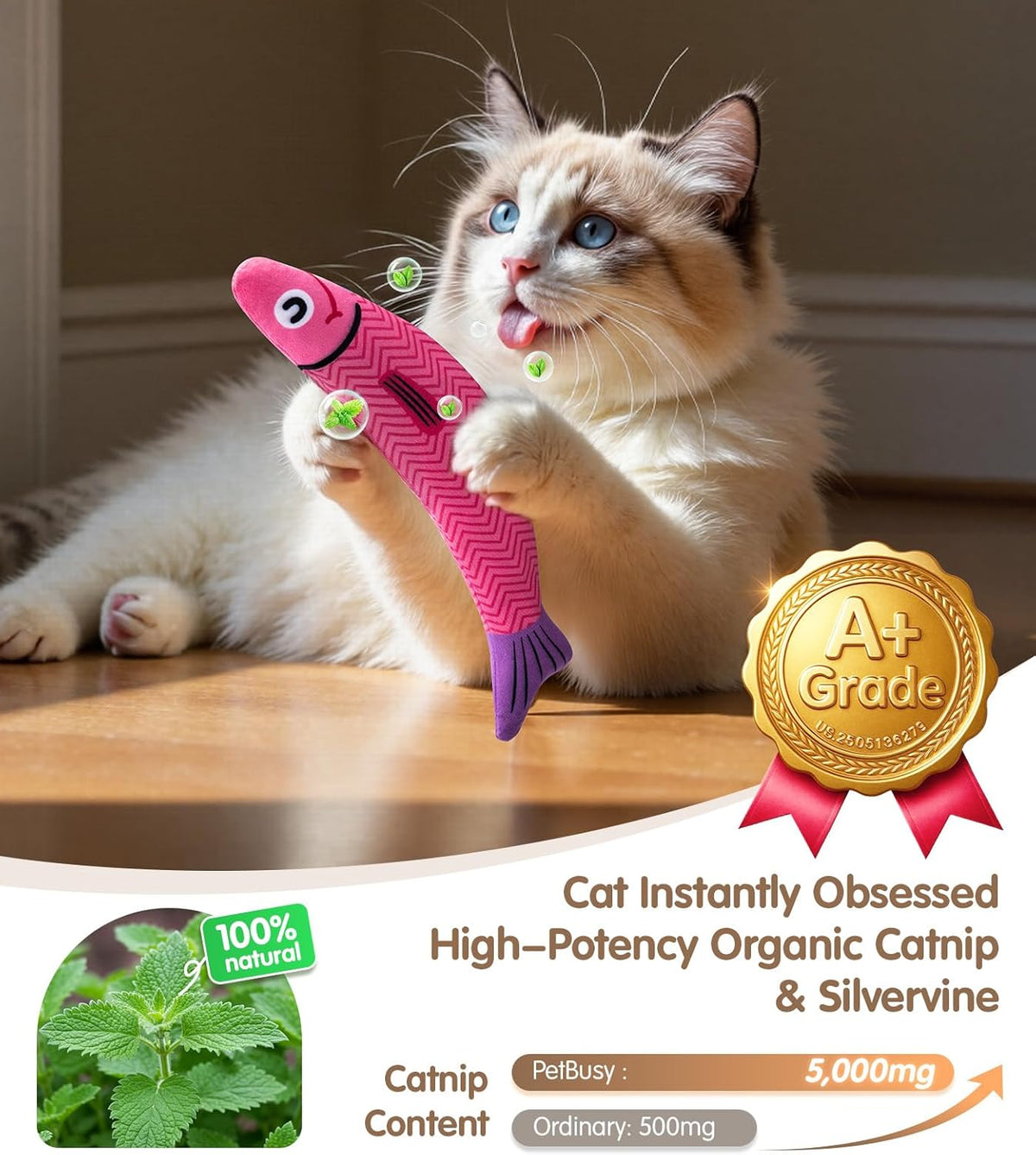 PetBusy Cat Toys with [5000 mg A+Natural Catnip & Silvervine] Kicker - Blue+Pink - image 3