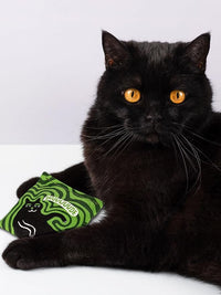 Blue Q Duuuuuuude Catnip Cat Toy. Premium Organic Catnip Grown in The USA, 100% Cotton Pouches, Kitty Graphics Sure to Delight Every Cat-Keeper.