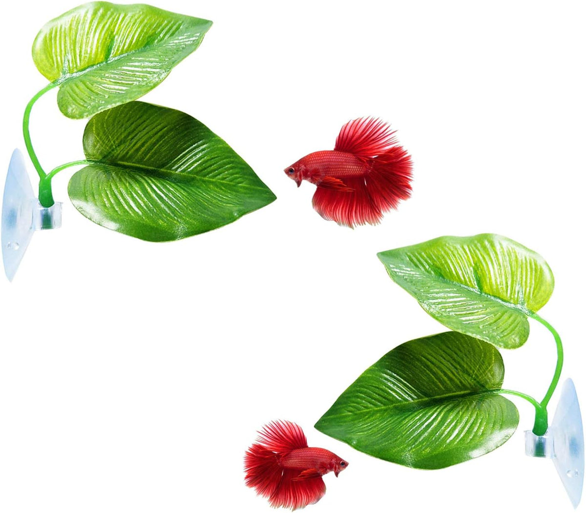 CousDUoBe 2 Pack Betta Fish Leaf Pad Improves Betta's Health - 2 Pack