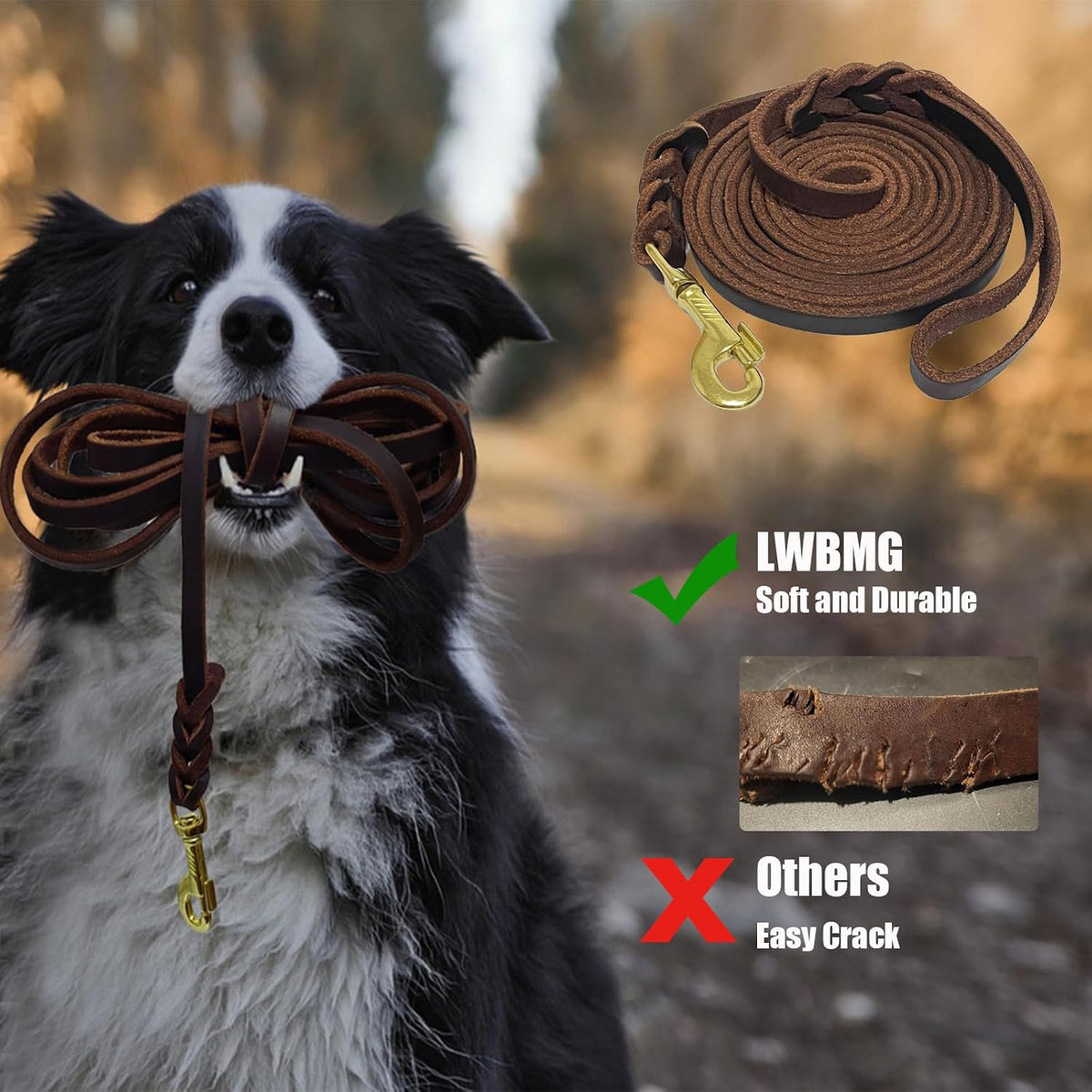 LWBMG Long Leather Dog Leash 10ft, Long Line Pet Leashes - 10ftx1/2'' / Brown - image 4