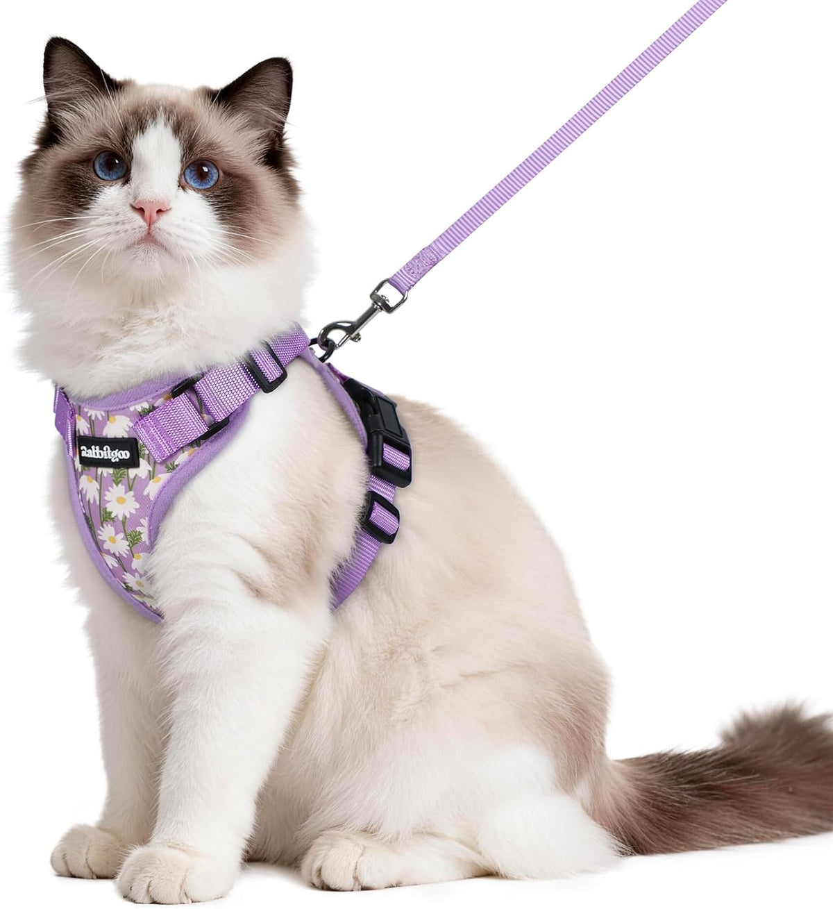 rabbitgoo Cat Harness and Leash Set, Escape Proof Vest - M / Purr-ple Daisy