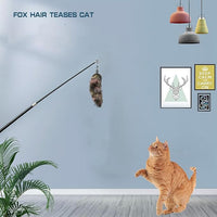 Interactive Cat Wand Toy with Cat Dancer, Retractable Feather Fox Tail Teaser for Indoor Cats, Enrichment Play Kittens to Senior Cats (Soft Pink)