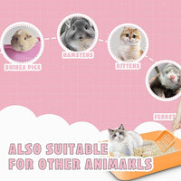 5pcs Kitten Litter Box,Open Small Cat Litter Box with 5 Scooper,Portable Small Litter Pan Low Entry Shallow Plastic Travel Toilet Litter Tray Cat Waste Tray for Small Pet Rabbit Guinea Pig Newborn Cat