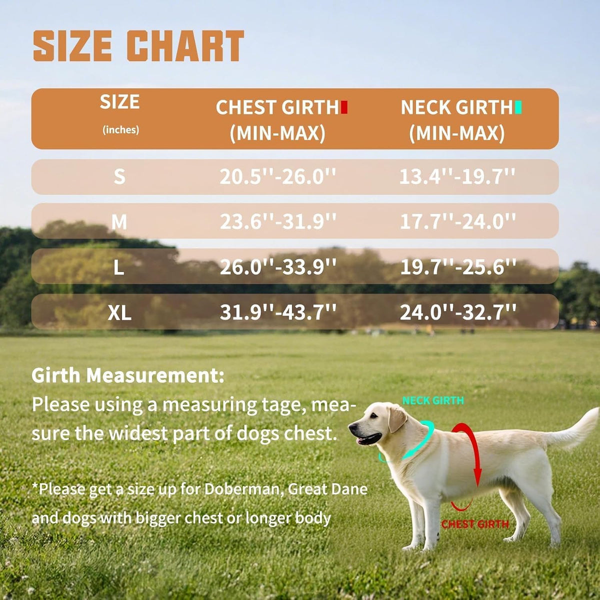 AUROTH Dog Harness for Large Dogs No Pull Tactical Harness and Leash - Turmeric / L(Neck:19.7"-25.6",Chest:26"-33.9") - image 4