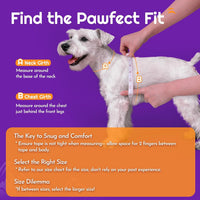 Eagloo Small Dog Harness and Leash Set - XS(Chest:13.3"-15.5") / Purple - image 2