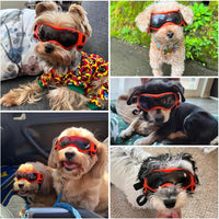 Dog Sunglasses for Extra Small Breed UV Protection Windproof XS Dog - Small / Orange - image 2