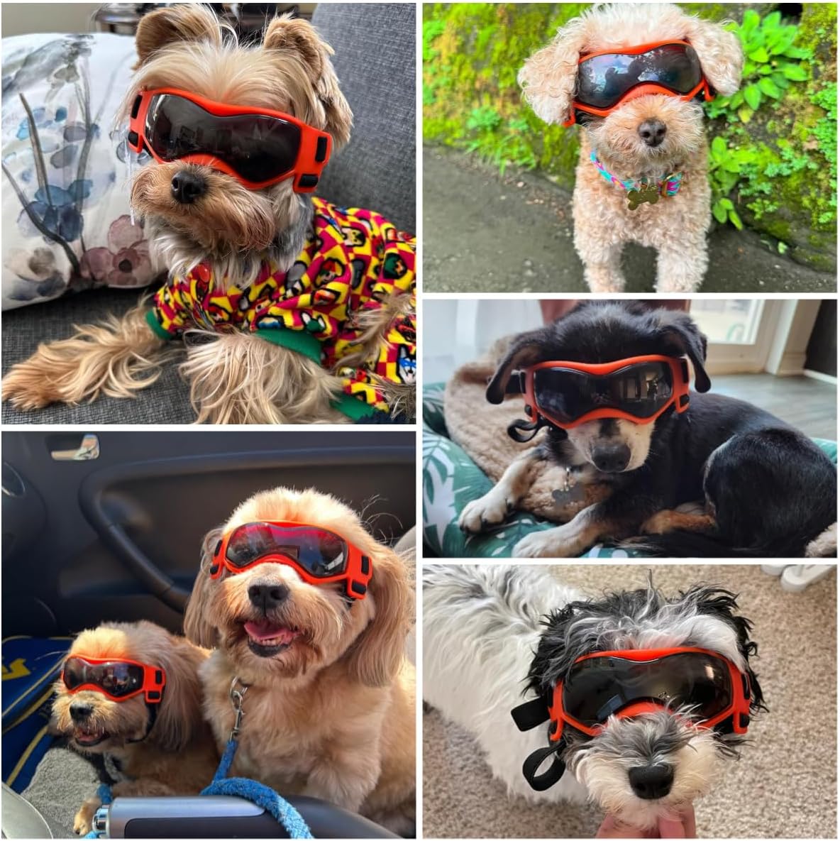 Dog Sunglasses for Extra Small Breed UV Protection Windproof XS Dog - Small / Orange - image 2
