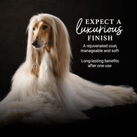 iGroom Deshedding & Detangling Dog Conditioner - 1 GAL - image 2