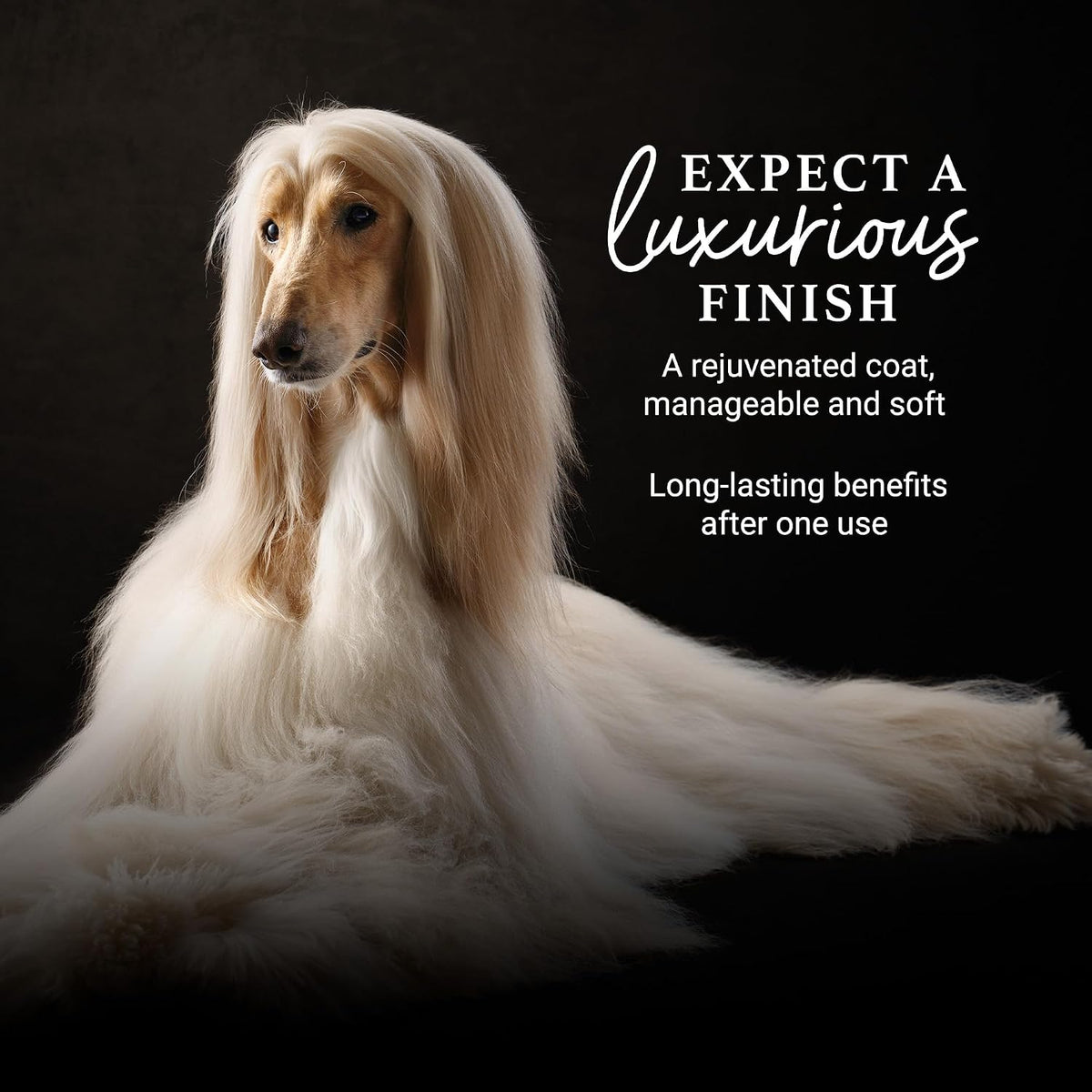 iGroom Deshedding & Detangling Dog Conditioner - 1 GAL - image 2