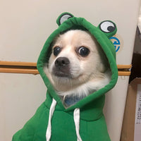 Dog Hoodie Basic Sweater Coat Cute - Green Frog / X-Large - image 3