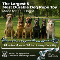Pacific Pups Products Giant Dog Rope Toy - Green / 1 Pack - image 2