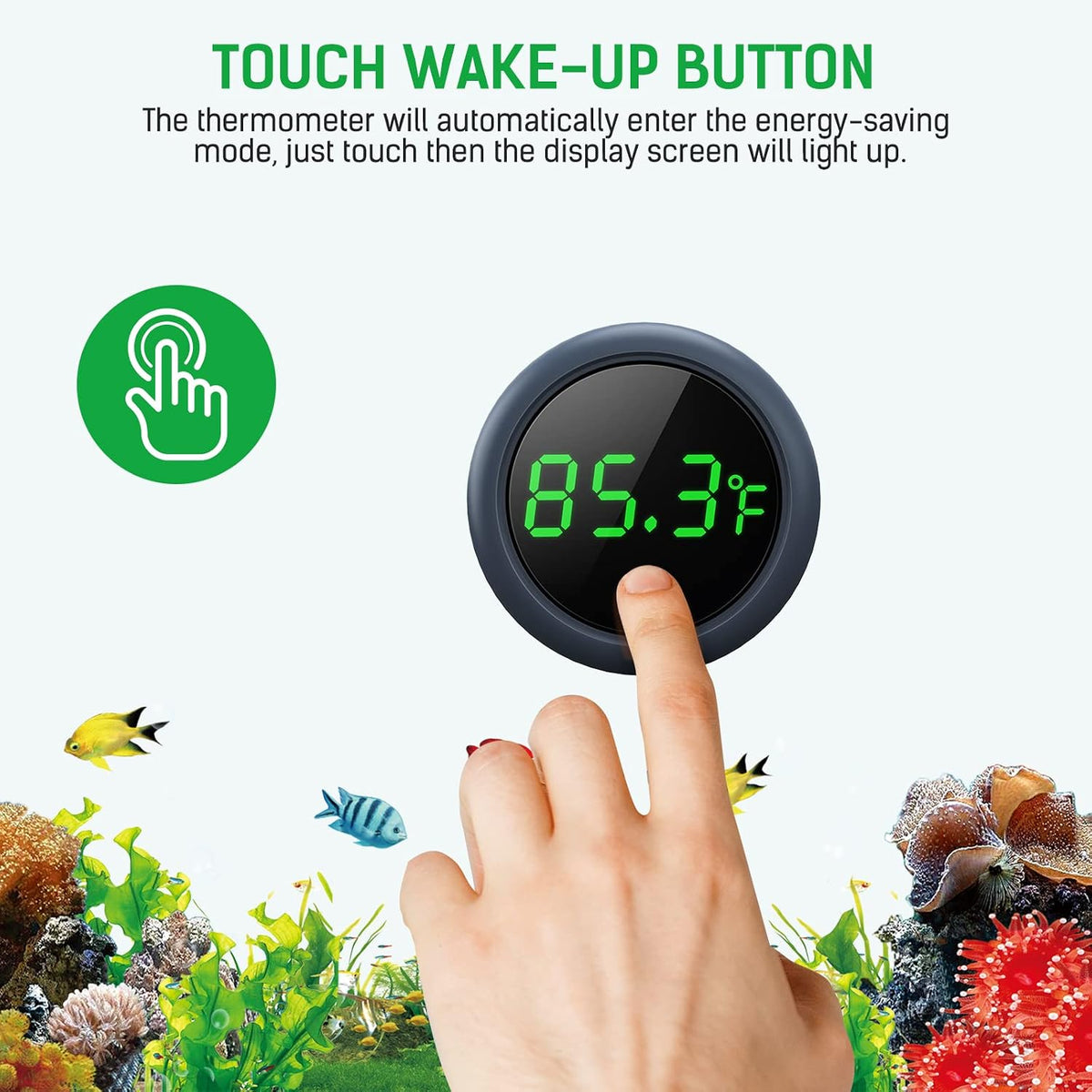 PAIZOO Aquarium Thermometer Digital - image 4