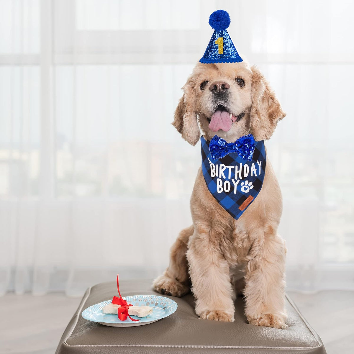 Dog Birthday Hat Bandana Set, Blue Plaid Boy Dog Bandana - Small / Blue - image 2